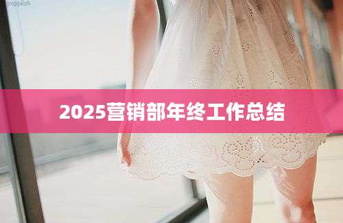 2025营销部年终工作总结