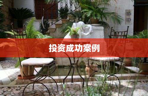 投资成功案例