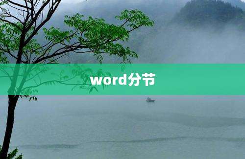 word分节