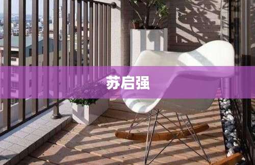 苏启强