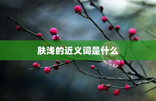 肤浅的近义词是什么