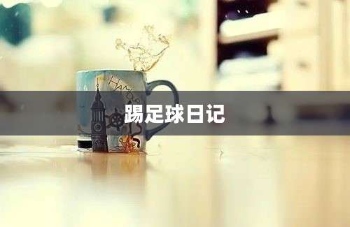 踢足球日记