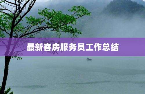 最新客房服务员工作总结