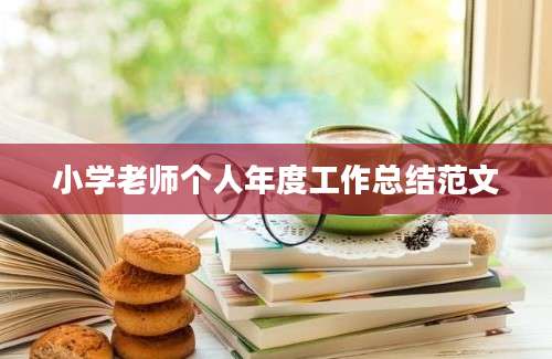 小学老师个人年度工作总结范文