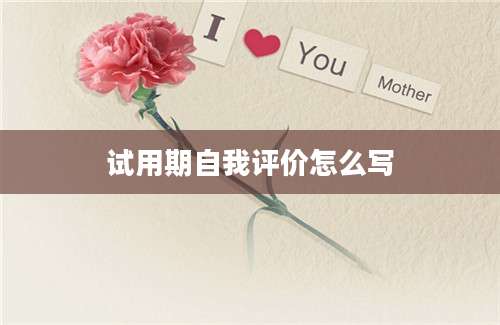 试用期自我评价怎么写