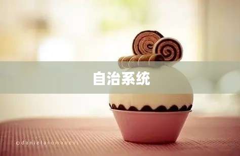 自治系统