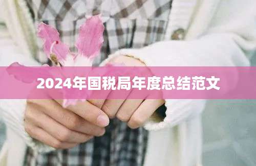 2024年国税局年度总结范文