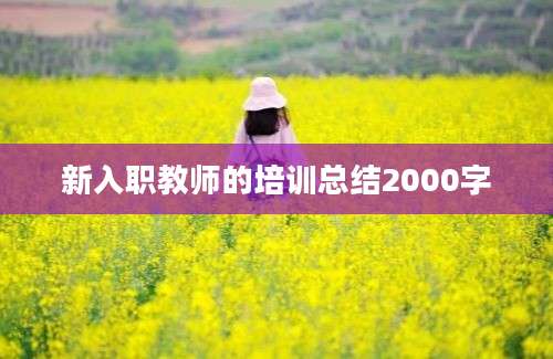 新入职教师的培训总结2000字