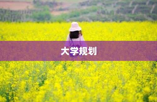 大学规划