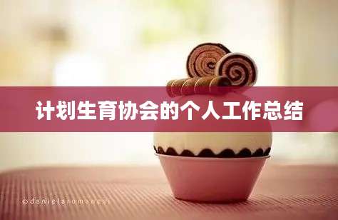 计划生育协会的个人工作总结