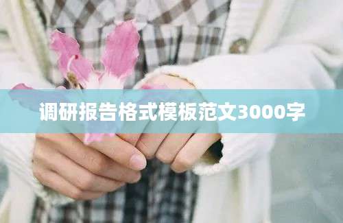 调研报告格式模板范文3000字