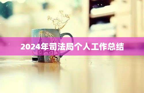 2024年司法局个人工作总结