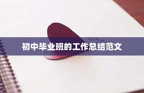 初中毕业班的工作总结范文