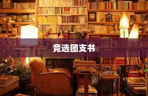 竞选团支书