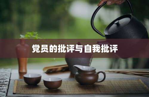 党员的批评与自我批评