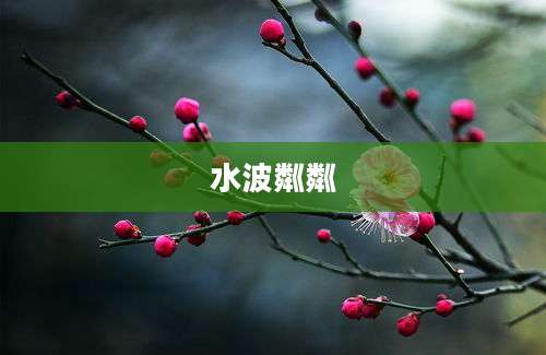 水波粼粼