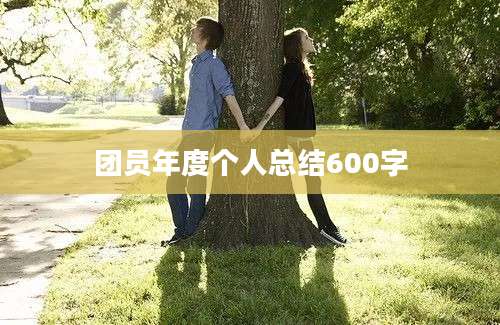团员年度个人总结600字