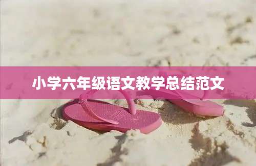 小学六年级语文教学总结范文