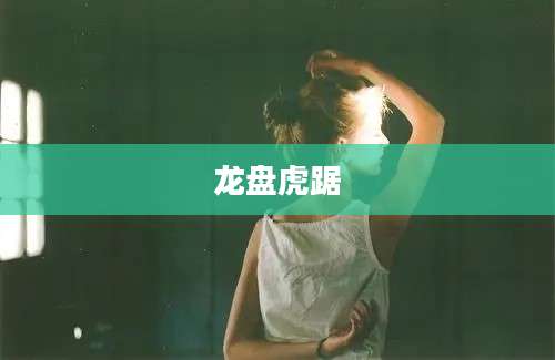 龙盘虎踞