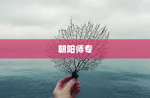 朝阳师专