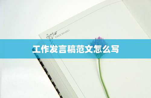 工作发言稿范文怎么写