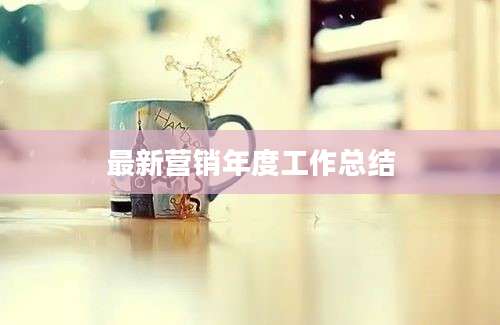 最新营销年度工作总结