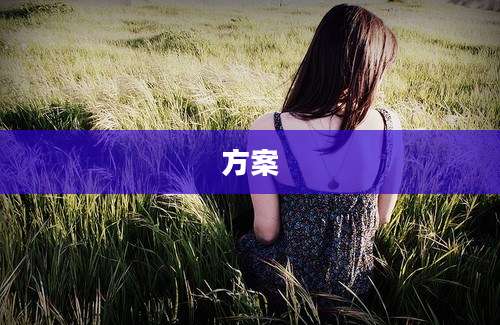方案