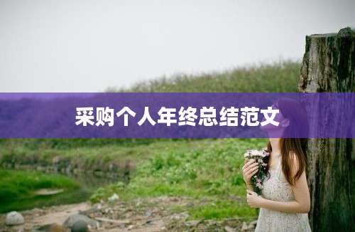 采购个人年终总结范文