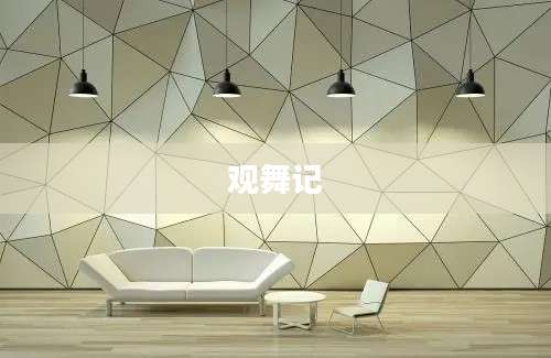 观舞记