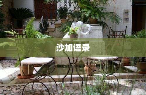 沙加语录