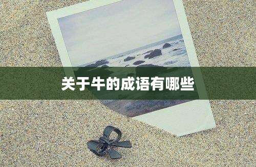 关于牛的成语有哪些