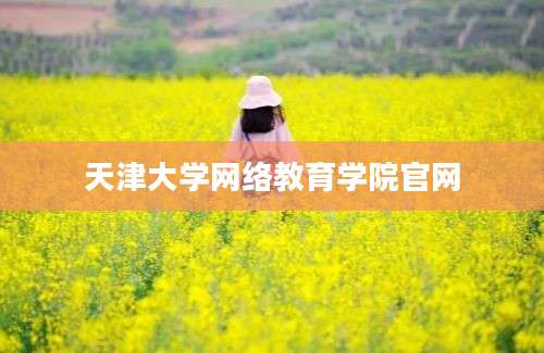 天津大学网络教育学院官网