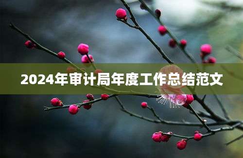 2024年审计局年度工作总结范文