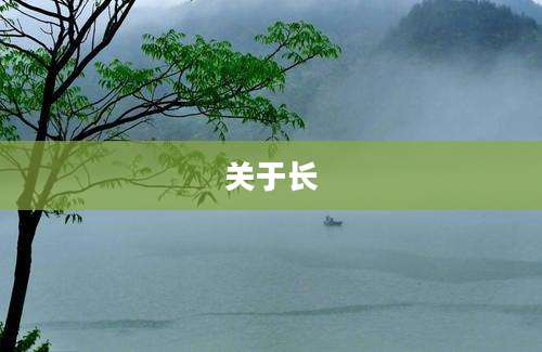 关于长
