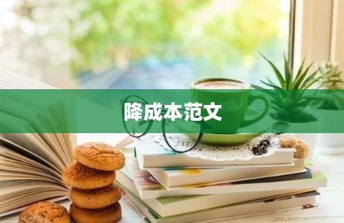 降成本范文