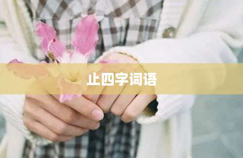 止四字词语