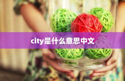 city是什么意思中文