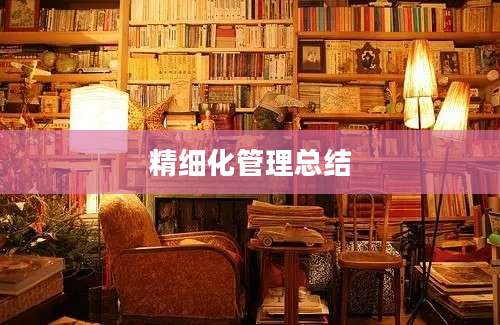 精细化管理总结