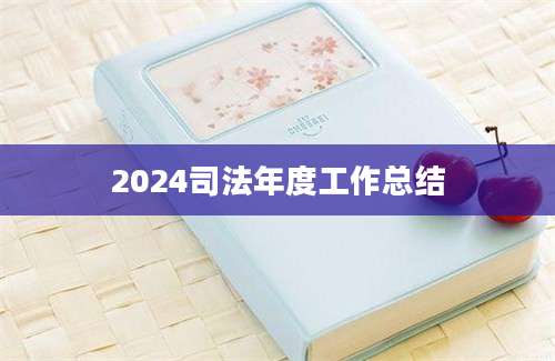 2024司法年度工作总结