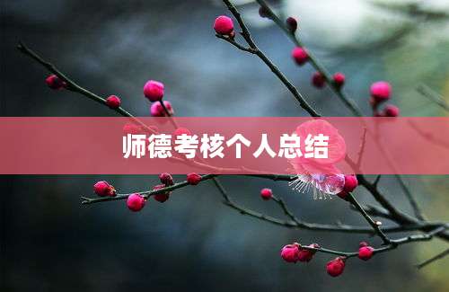 师德考核个人总结