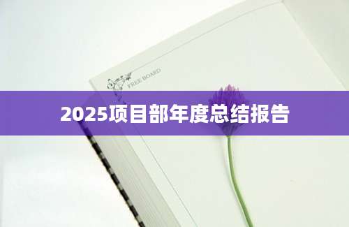 2025项目部年度总结报告