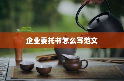 企业委托书怎么写范文