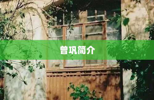曾巩简介