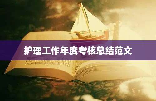 护理工作年度考核总结范文