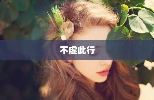 不虚此行