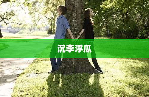 沉李浮瓜