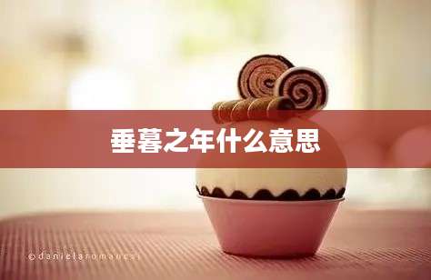 垂暮之年什么意思