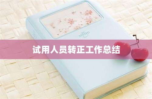 试用人员转正工作总结