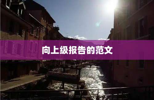 向上级报告的范文