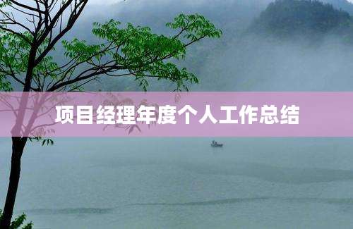 项目经理年度个人工作总结